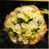 台湾鲜花,透明