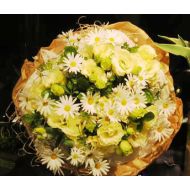 台湾鲜花,透明