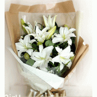 台湾鲜花,美丽的百合